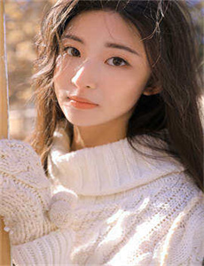 绝望主妇第六季